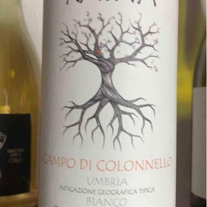 Trebbiano Spoletino - Raína - francesco-mariani