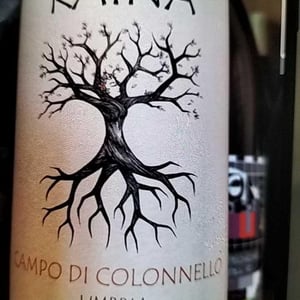 Raína - Francesco Mariani - Trebbiano Spoletino