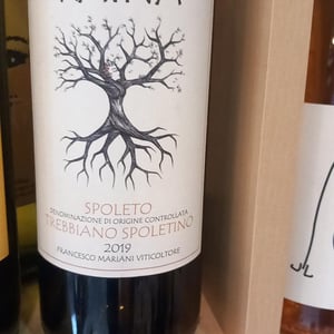 Trebbiano Spoletino - Raína - francesco-mariani