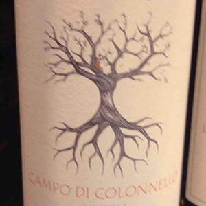 Trebbiano Spoletino - Raína - francesco-mariani