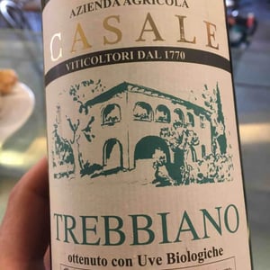 Trebbiano Toscano - Azienda Agricola Casale - Giuseppe Giglioli, Maria Pierina Rinaldi -2020