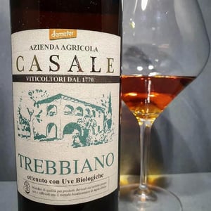 Trebbiano Toscano - Azienda Agricola Casale - giuseppe-giglioli-maria-pierina-rinaldi -2020