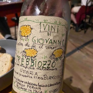 Trebbiozzo - I Vini di Giovanni - giovanni-mesina