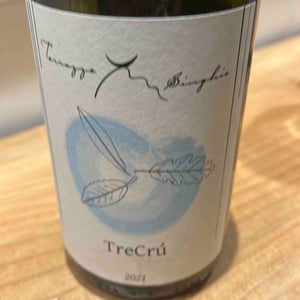 TreCrù 2021 - Terrazze Singhie - Sara Polo & Mauro Migliavacca -2021