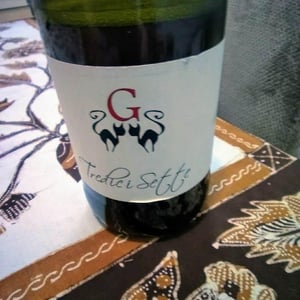 Azienda Agricola Gatti - Carolina Gatti - Tredici Sette
