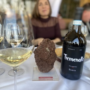Tremenalto - Azienda Agricola Suavia - Meri, Valentina ed Alessandra Tessari -2020
