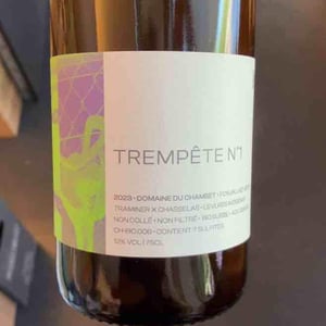 Trempête Nr.1 - Domaine du Chambet - Anthony Fonjallaz -2023