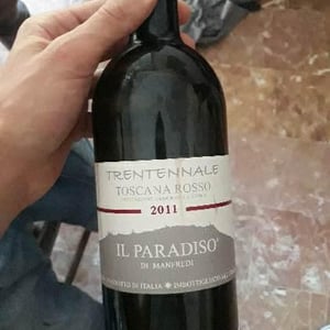 Trentennale - Il Paradiso di Manfredi - Florio Guerrini 