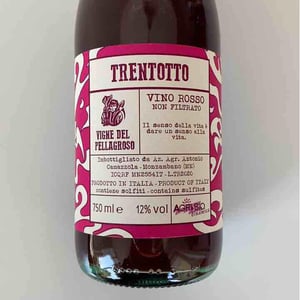 Trentotto - Vigne Del Pellagroso - Antonio Camazzola 