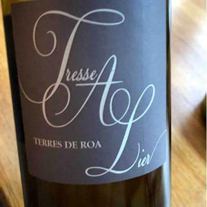 Tresse à Lier