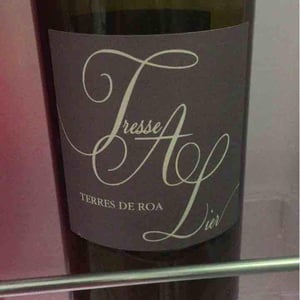 Vignoble des Vernusses - Loren PETIT - Tresse A Lier