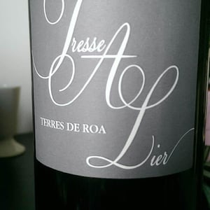 Vignoble des Vernusses - Loren PETIT - Tresse A Lier