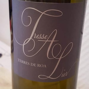 Vignoble des Vernusses - Loren PETIT - Tresse A Lier