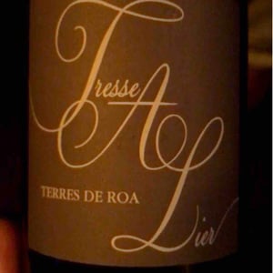 Tresse A Lier - Vignoble des Vernusses - loren-petit -2023