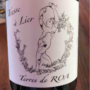 Tresse A Lier - Vignoble des Vernusses - loren-petit -2023