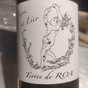 Tresse A Lier - Vignoble des Vernusses - loren-petit -2023