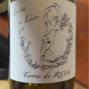Tresse A Lier - Vignoble des Vernusses - Loren PETIT -2023
