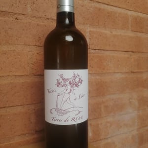 Tresse A Lier - Vignoble des Vernusses - loren-petit -2023