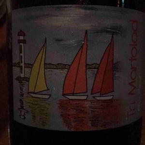 Tri Martolod - La Sénéchalière - ryosuke-furuya-ex-marc-pesnot