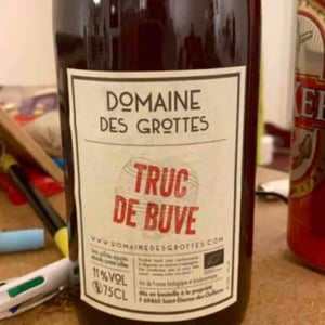 Truc De Buve - Domaine des Grottes - Romain des Grottes 