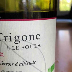 Trigone Blanc - Le Soula - Wendy Wilson 
