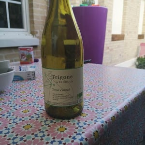 Trigone Blanc n°15 2019