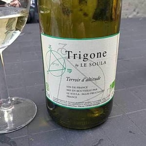 Trigone Blanc N°19 2019