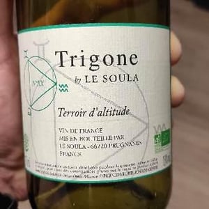 Trigone Blanc 2020