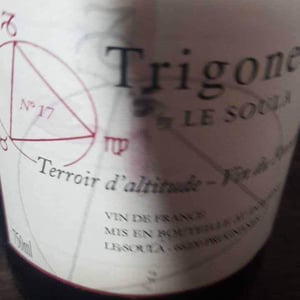 Trigone Rouge n°17 2017