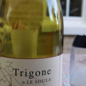 Trigone Rouge - Le Soula - wendy-wilson