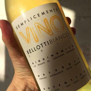 Bianco - Azienda Agricola Ezio Trinchero - ezio-trinchero