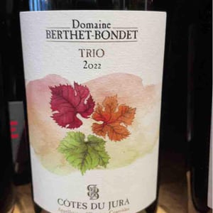 Trio - Domaine Berthet-Bondet - Hélène, Chantal & Jean Berthet-Bondet -2020