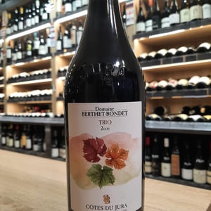 Trio - Domaine Berthet-Bondet - helene-chantal-jean-berthet-bondet -2020
