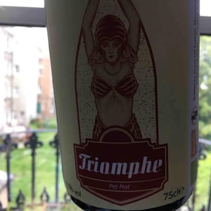 Triomphe - Ancre Hill Estates - richard-joy-morris