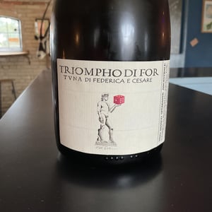 Triompho di FORTUNA - Masseria del Pino - federica-turillo-cesare-fulvio -2020
