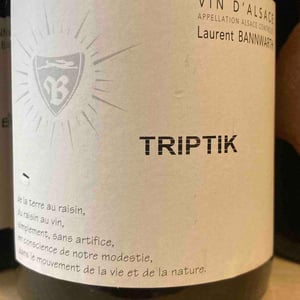 Triptik - Laurent Bannwarth - stephane-bannwarth