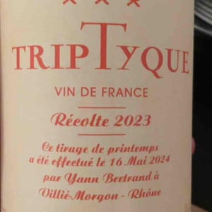 Les Bertrand - Guy, Annick & Yann Bertrand - TripTyque