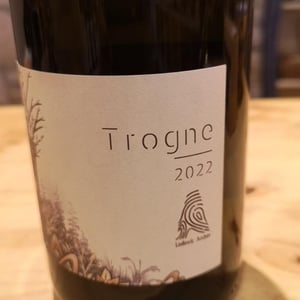 Trogne - Domaine Ludovic Archer - Ludovic Archer -2022