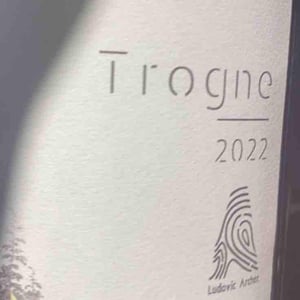 Trogne - Domaine Ludovic Archer - ludovic-archer -2022
