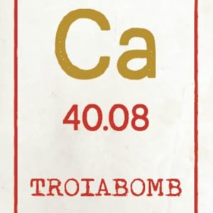 Calcarius Troiabomb - Valentina Passalacqua - valentina-passalacqua