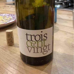 Trois Cent Vingt (blanc) - Romain Pion - Romain Pion 
