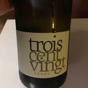 Romain Pion - Romain Pion - Trois Cent Vingt (blanc)