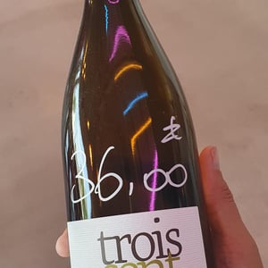 Trois Cent Vingt (blanc) - Romain Pion - romain-pion