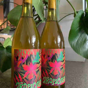Tropicalia - Neon Eon Wine - Tyler Thrussell 
