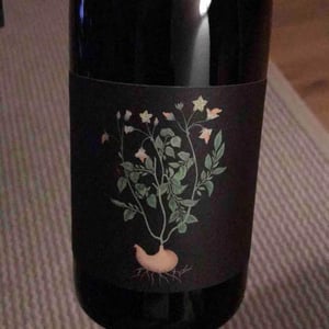 Vin des Potes - Basile Passe - Trotocaz X Ledogar