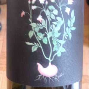Vin des Potes - Basile Passe - Trotocaz X Ledogar