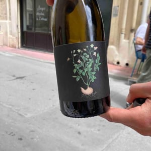 Vin des Potes - Basile Passe - Trotocaz X Ledogar