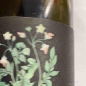 Trotocaz ( X Ledogar) 2017 - Vin des Potes - Basile Passe