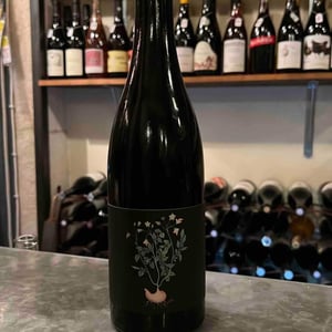 Trotocaz X Ledogar - Vin des Potes - basile-passe