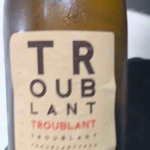 Troublant - Domaine des Côtes Rousses - marielle-nicolas-ferrand -2022